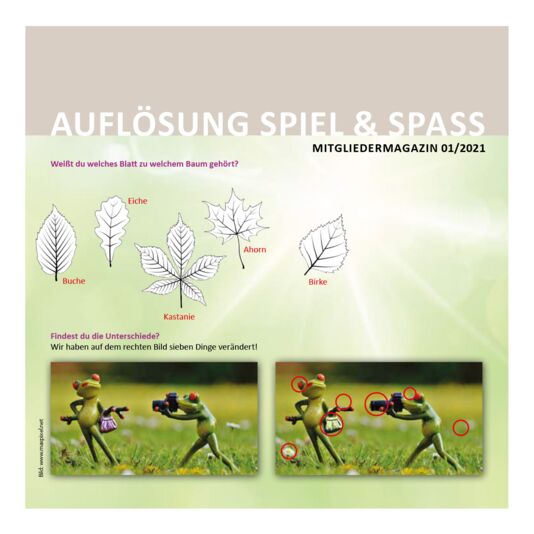 Rätsellösungen Aktuell 2021-1
